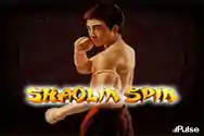 Shaolin Spin